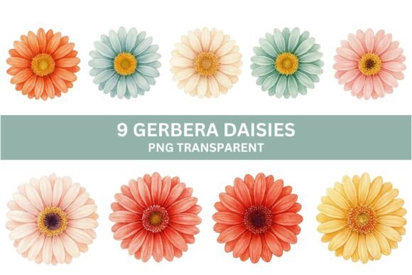9 Watercolor Gerbera Daisy PNG Set: A Burst of Floral Creativity