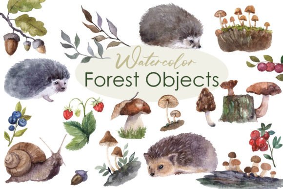 Charming Forest Illustrations for Your Creative Projects