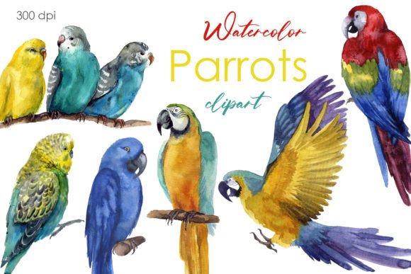 Cute Watercolor Clipart with Parrots: A Tropical Design Asset