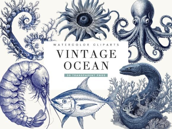 Dive into Nostalgia: The Vintage Ocean Clipart Bundle