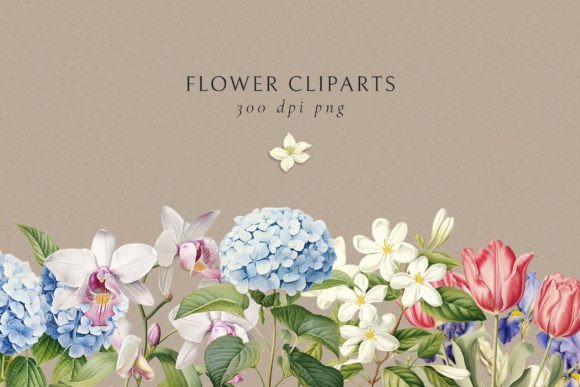 Timeless Floral Art for Modern Creators