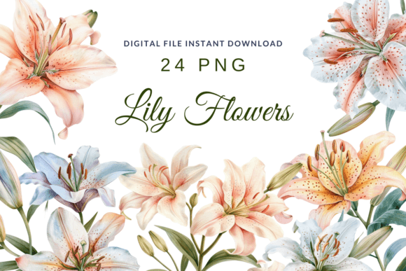 Watercolor Lilies Flower Lily Clipart: A Designer's Essential Floral Toolkit