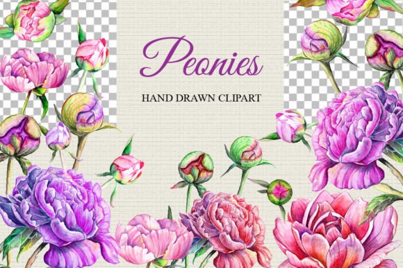 Watercolor Peonies Clipart, Hand Drawn: Unlocking Botanical Charm for Your Projects